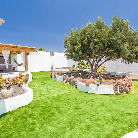 Olive Tree