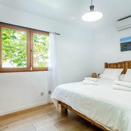 Olive Tree Playa Blanca